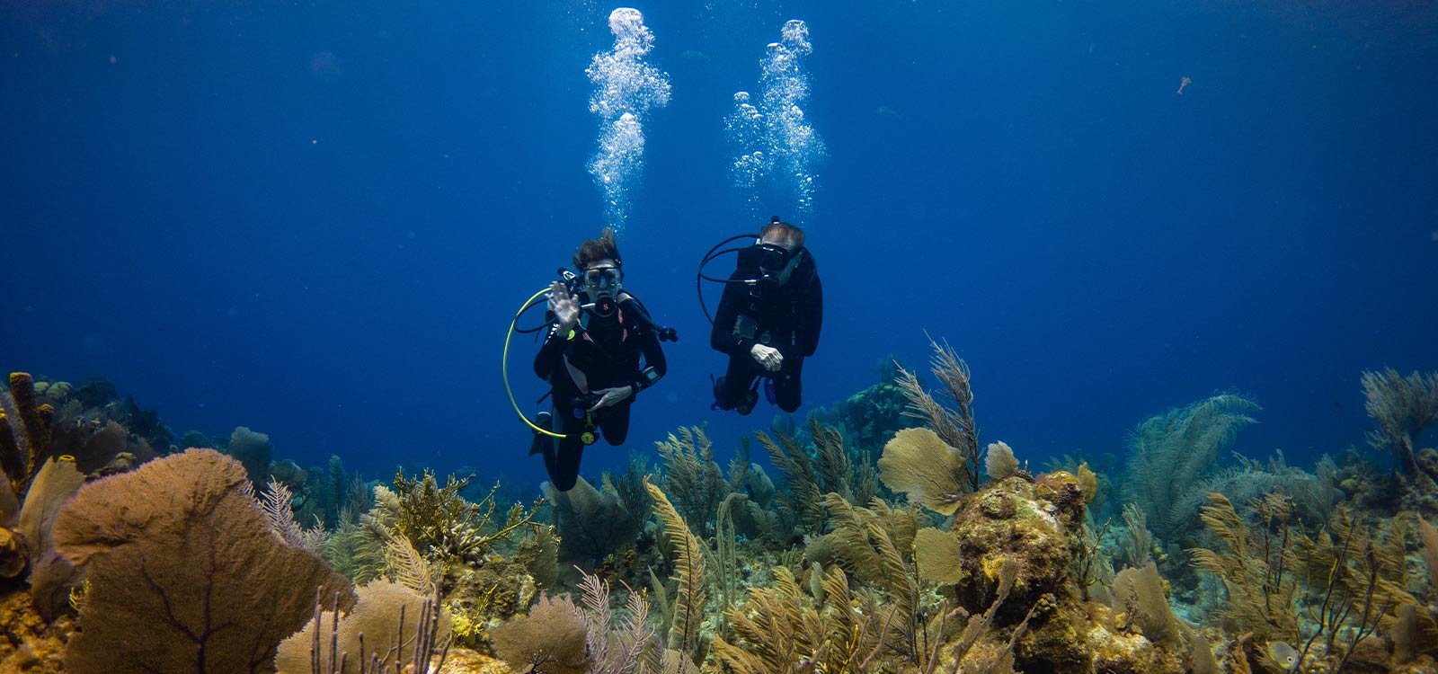 Two scuba divers exploring a vibrant coral reef under clear blue water