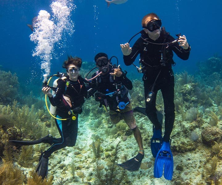 Three scuba divers underwater surrounded by marine life and coral