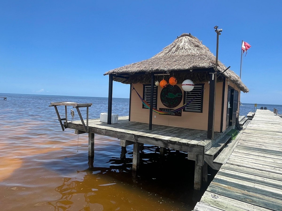 The Carpe Diem Charters dive shop at the end of the Portofino dock